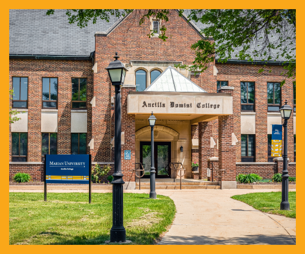 bingo plus net rewards login