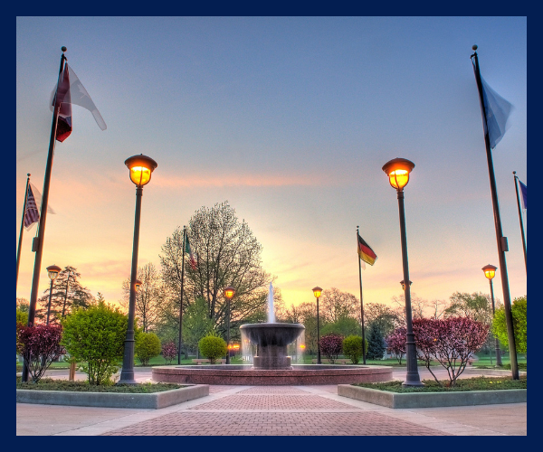 bingo plus reward points login