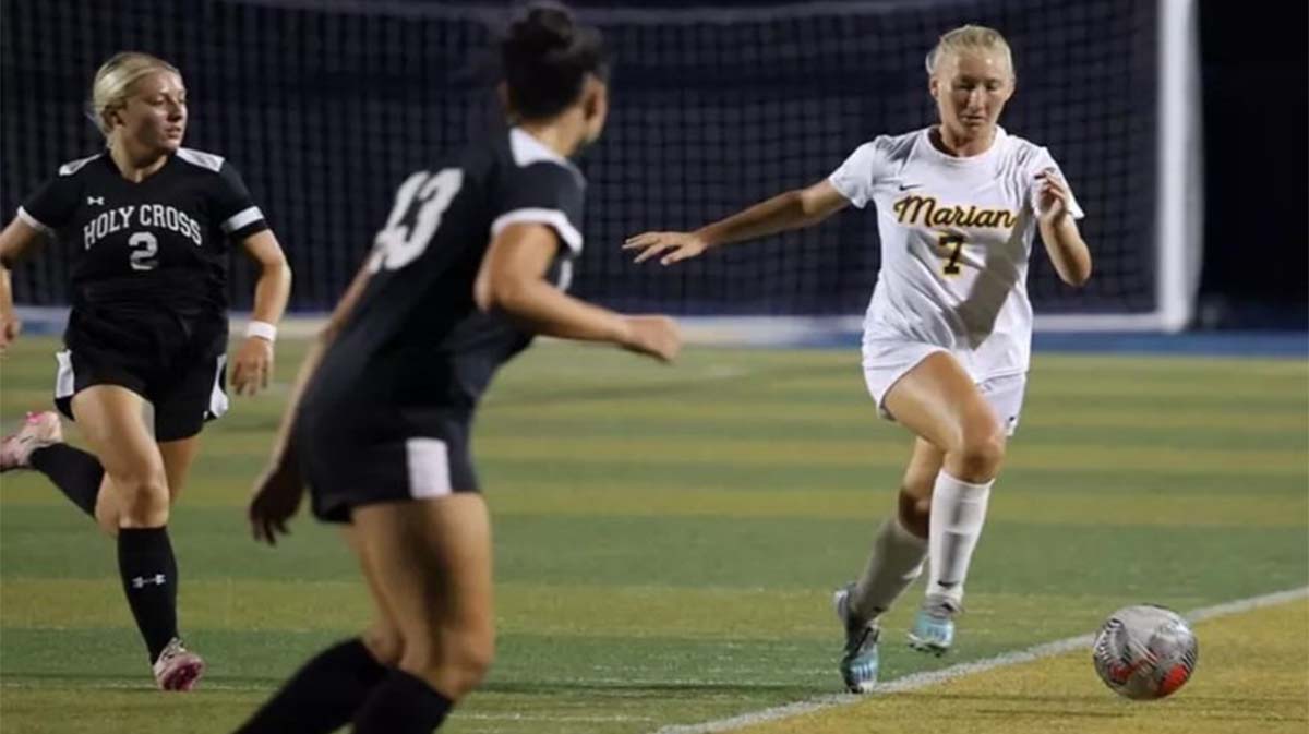 bingo plus net rewards login